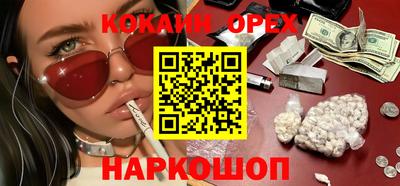 МДПВ Кингисепп
