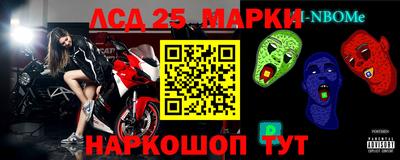 МДПВ Кингисепп