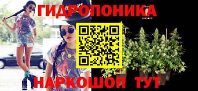 мяу мяу мука Кимры